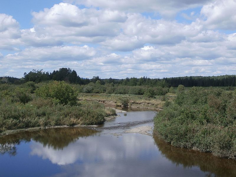 File:RivièreauxBluets(lac Saint-François).jpg