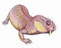 Dicynodonts