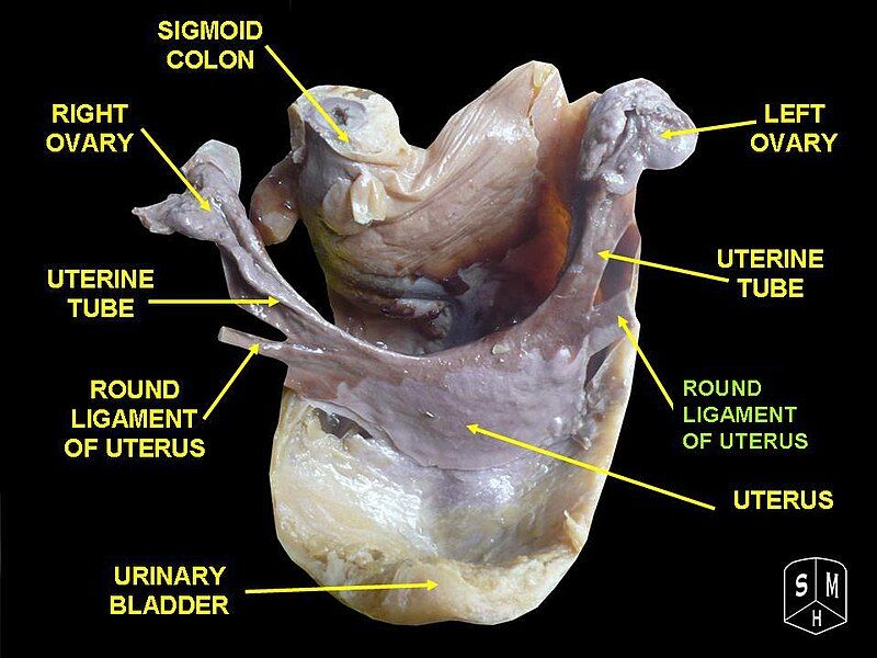 File:Slide3DDD.JPG