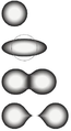 Image 63The stages of binary fission in a liquid drop model. Energy input deforms the nucleus into a fat "cigar" shape, then a "peanut" shape, followed by binary fission as the two lobes exceed the short-range nuclear force attraction distance, and are then pushed apart and away by their electrical charge. In the liquid drop model, the two fission fragments are predicted to be the same size. The nuclear shell model allows for them to differ in size, as usually experimentally observed. (from Nuclear fission)