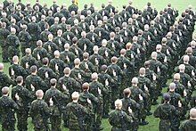 Large group of soldiers with right hands raised, seen from behind