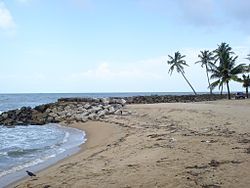 Perinjanam beach