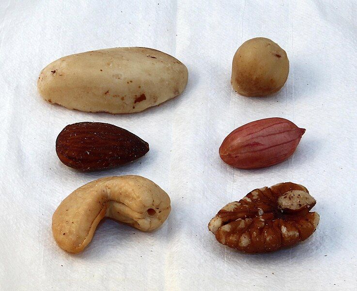 File:20130126 Mixed nuts.jpg