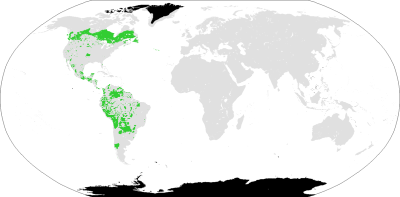 File:Amerind language.png