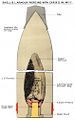 Mk V capped armour-piercing shell, naval & land use