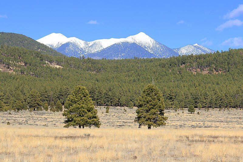 File:Bellemont Arizona View.jpg