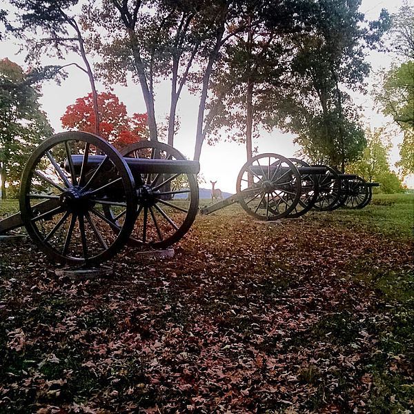 File:Cannons (21117124212).jpg