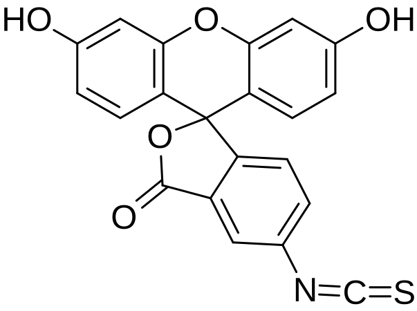 File:Fluorescein 5-isothiocyanate.svg