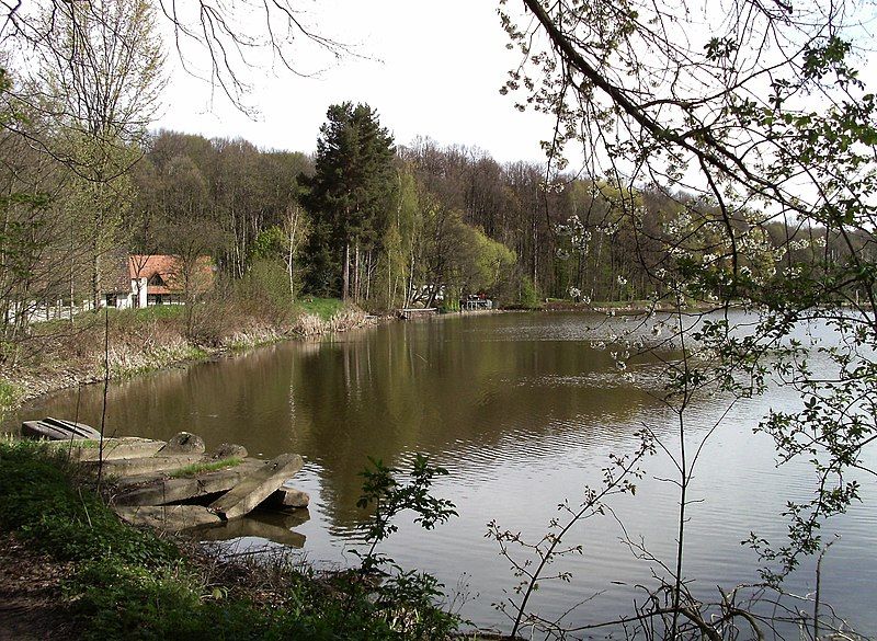 File:Hegeteich.JPG