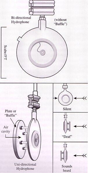 File:Hydrophone drawing.jpg