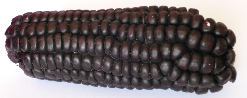 File:Maizmorado.png