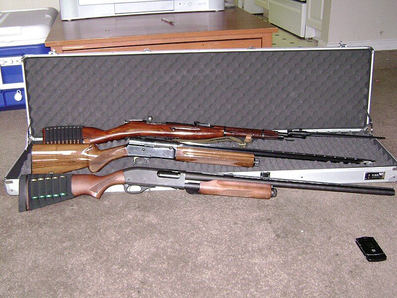 File:My three guns.JPG