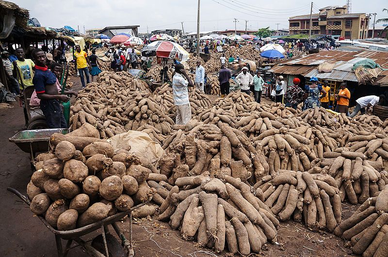 File:Nigeria yam2.jpg