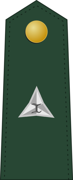 File:PA 2nd Lt.png