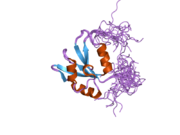 2db1: Solution structure of the RNA binding domain in heterogeneous nuclear ribonucleoprotein F homolog