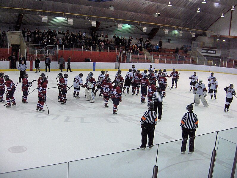 File:Playoff Brampton-Montreal 002.jpg