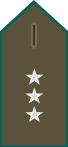 File:SS.OO.3.CARAB.BLUSON.CAPITÁN.svg