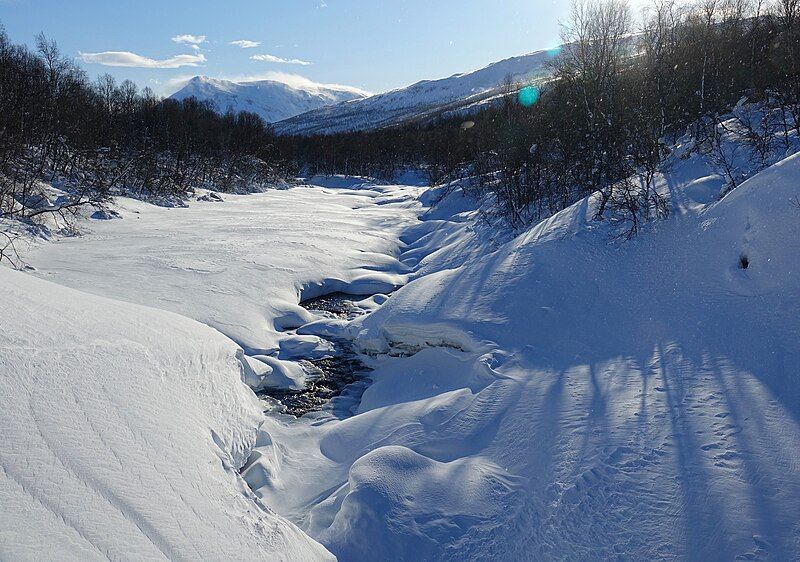 File:Salangsdalen at Bones.jpg