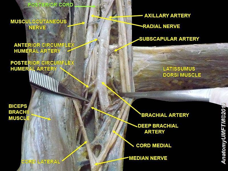 File:Slide1SSS.JPG