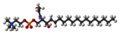 Ball-and-stick model of sphingomyelin