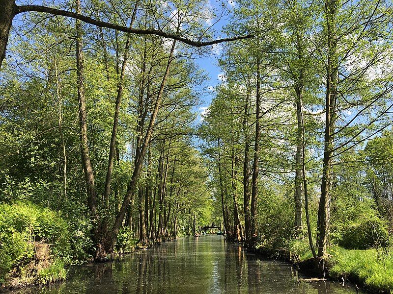 File:Spreewaldkanal near Lübbenau.jpg