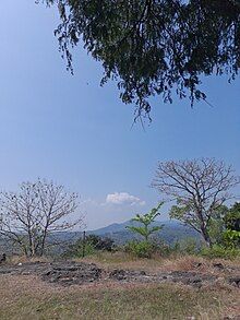 A scene from halfway of Taruwongso Mount