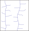 Trellis drainage pattern.