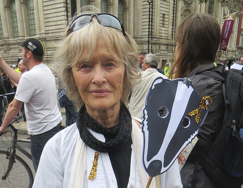 File:Virginiamckenna westminster.jpg