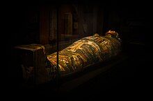 Mummification of the Pharaohs