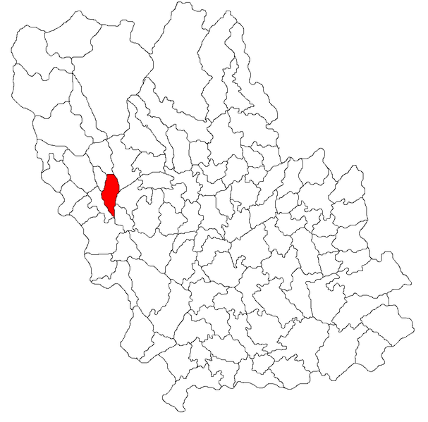 File:Campina jud Prahova.png