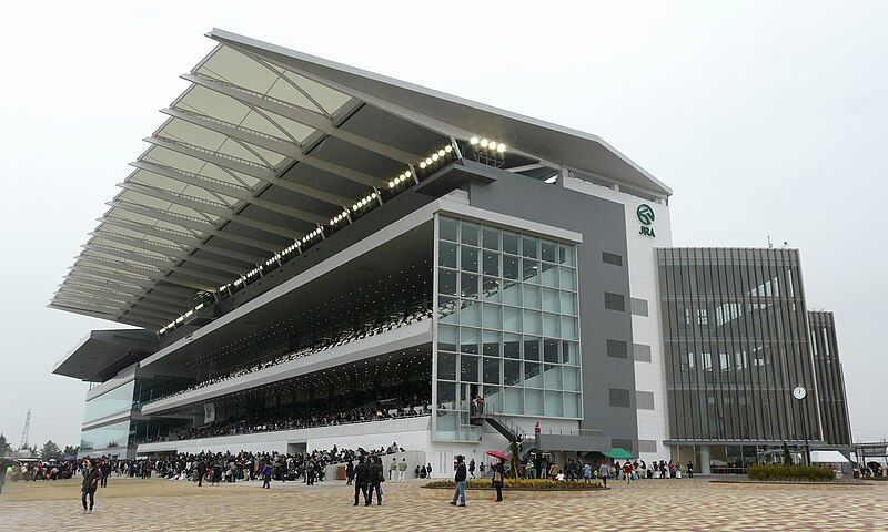 File:Chukyo Racetrack 15.jpg