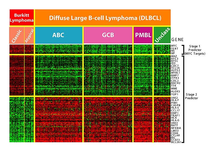 File:DNA-microarray analysis.jpg