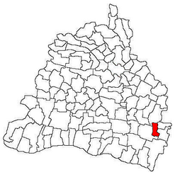 Location in Dolj County