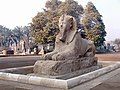 The alabaster sphinx found outside the Temple of Ptah