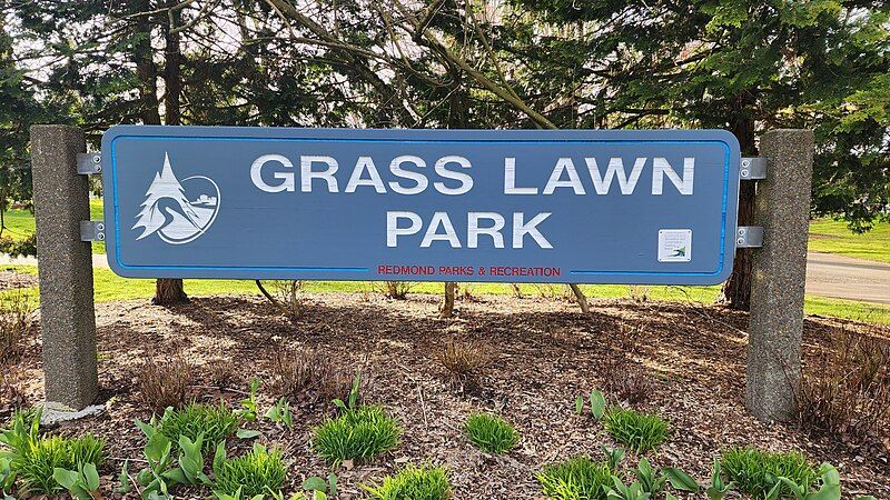 File:Grass Lawn Park.jpg