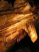 Flowstone on the ceiling at Gunns Plains Cave, Tasmania