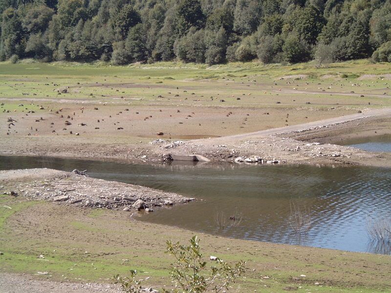 File:Innerstestausee Niedrigwasser.jpg