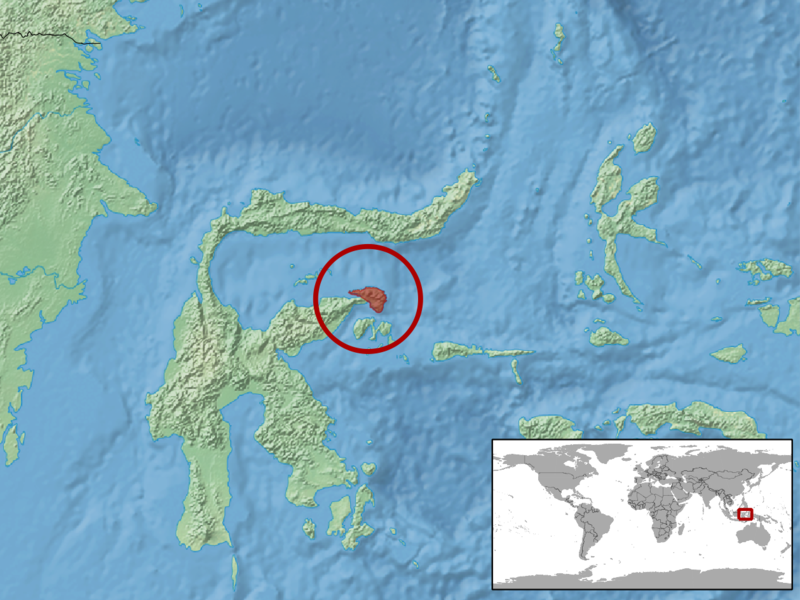 File:Luperosaurus iskandari distribution.png