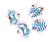 2h0b: Crystal Structure of the second LNS/LG domain from Neurexin 1 alpha