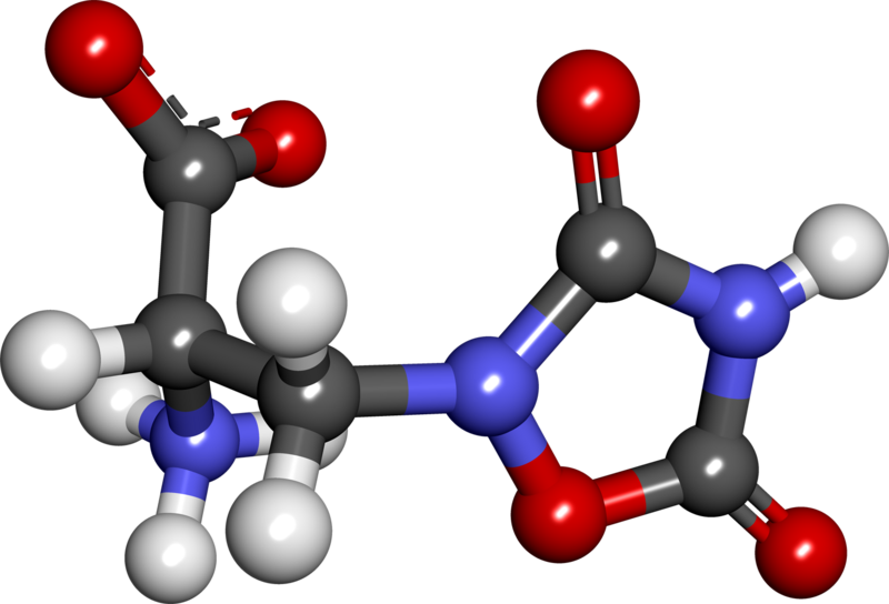 File:Quisqualic acid.png