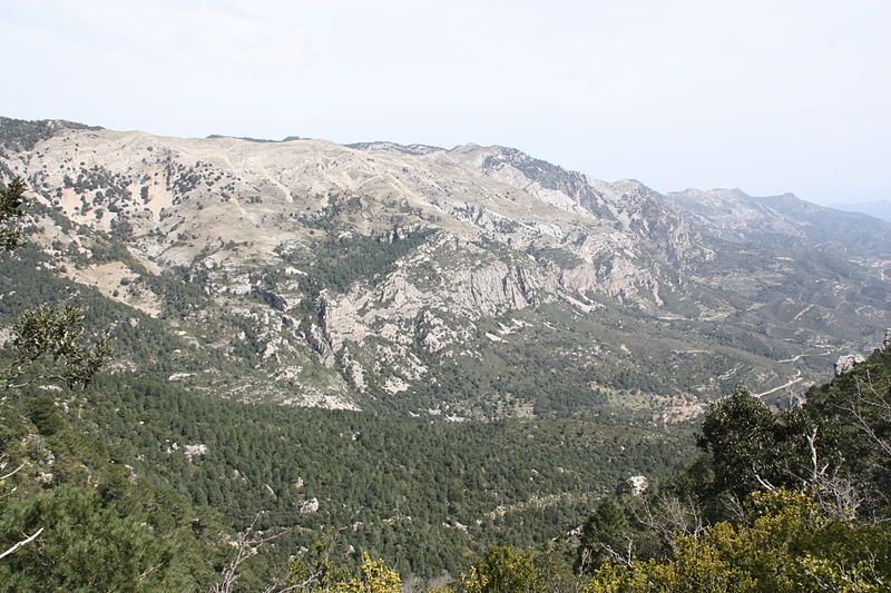 File:Rases del Maraco.JPG