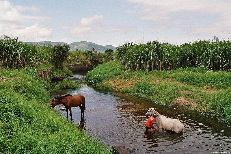 File:Rio Pacoti-Acarape.jpg