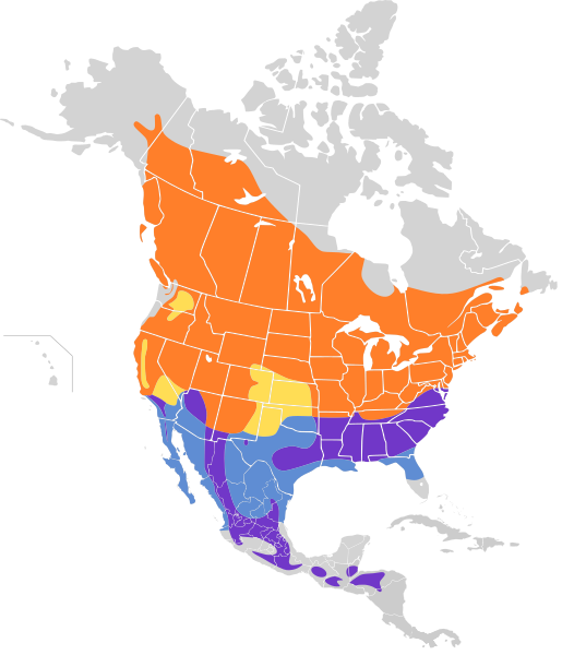 File:Spizella passerina map.svg