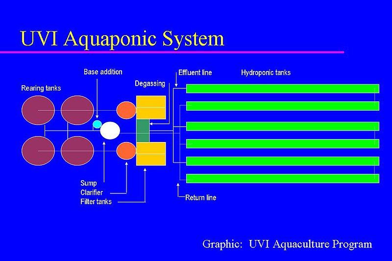 File:UVIAquaponicSystem.jpg