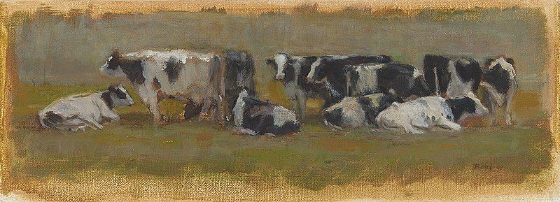 File:A Dozen Cows.jpg