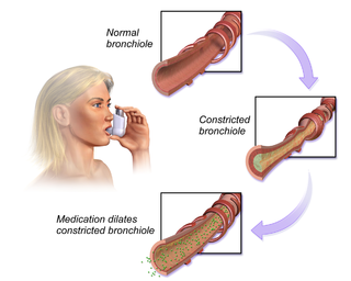 Bronchodilators