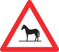 1.25 Animals on road