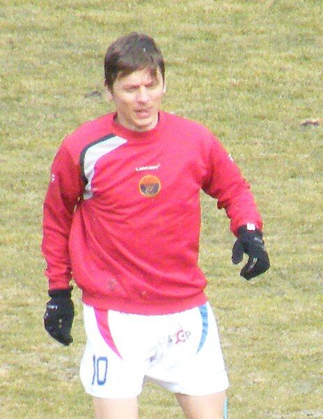 File:Cedomir Pavicevic 2011.jpg