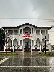 Coarnele Caprei town hall