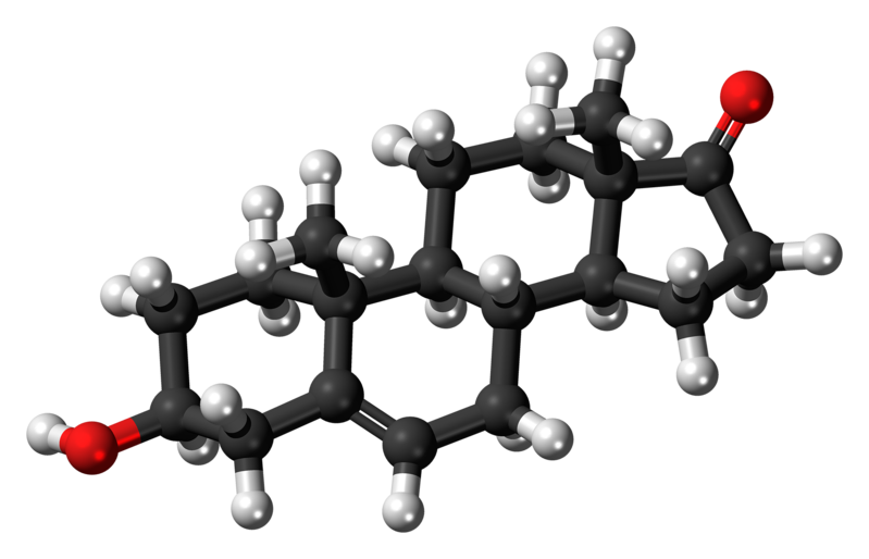 File:Dehydroepiandrosterone molecule ball.png